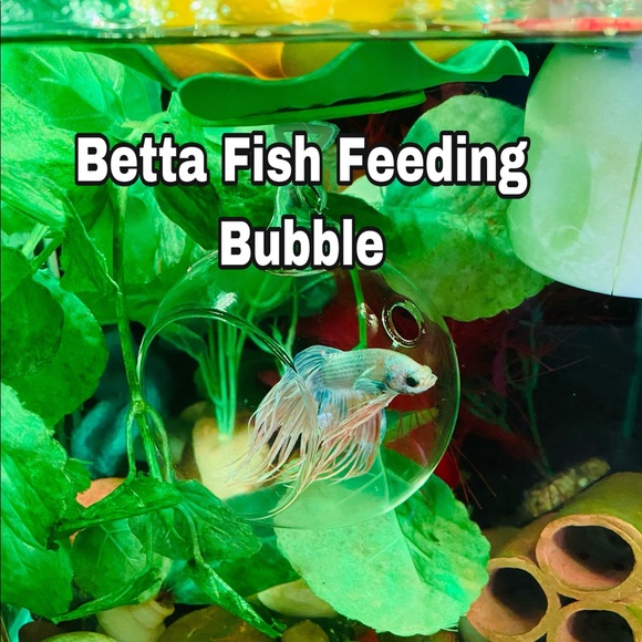 Betta fish feeding globe for frozen foods - Picture 12 of 12